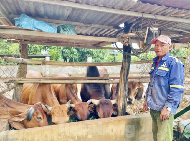 Người tiên phong làm kinh tế giỏi tại buôn cổ nhất Tây Nguyên ảnh 2