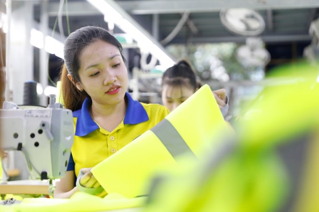 Chuyên gia ILO: Cách tính lương hưu ở Việt Nam quá hào phóng ảnh 2