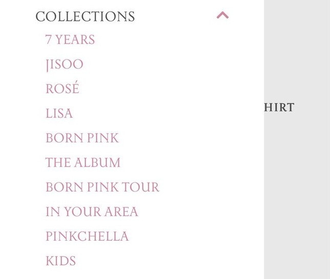 Tín hiệu cho thấy Jennie sắp rời BlackPink ảnh 1