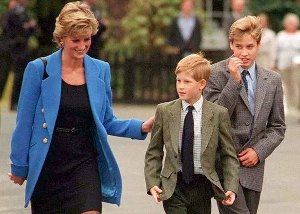 Harry nói William làm tan nát trái tim ảnh 2