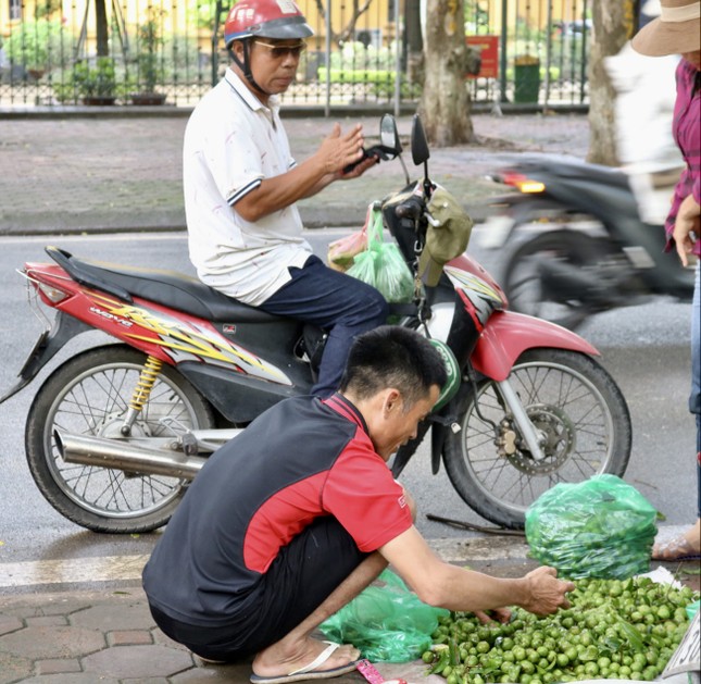 Hà Nội mùa sấu xanh mát phố phường ảnh 3