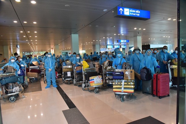 Đón hàng trăm công dân Việt và người nước ngoài từ Ấn Độ về nước ảnh 1