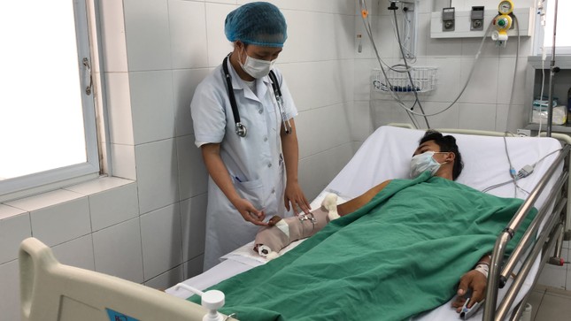 Trồng sả để phòng rắn, nào ngờ bị rắn cắn trong bụi sả ảnh 1