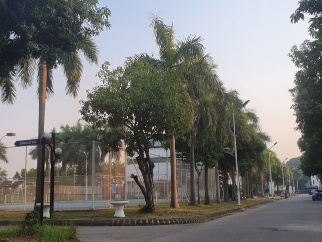 Vụ 'treo' hợp đồng mua nhà: Cục Thuế áp dụng cưỡng chế chủ dự án Long Việt Riverside ảnh 1