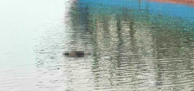 Tìm thấy thi thể nam thanh niên nhảy xuống biển tự vẫn ảnh 1