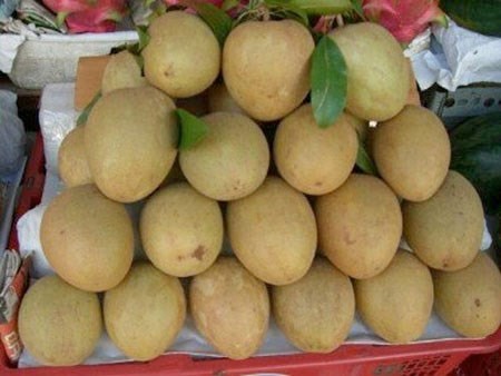 Tuyệt chiêu để tránh mất tiền mua trái cây độc hại ảnh 4