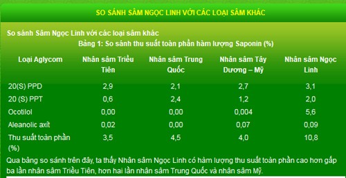 3.000 củ sâm Ngọc Linh và cuộc chơi 'cũng lắm công phu' ảnh 9