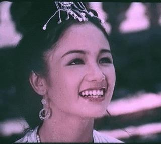 Mỹ nhân phim “Lá ngọc cành vàng” vẫn xinh đẹp, mặn mà sau 30 năm ảnh 2