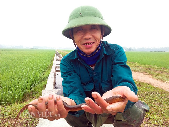 Tuyệt kỹ dụ lươn của 'thợ săn' Hà Tĩnh ảnh 2