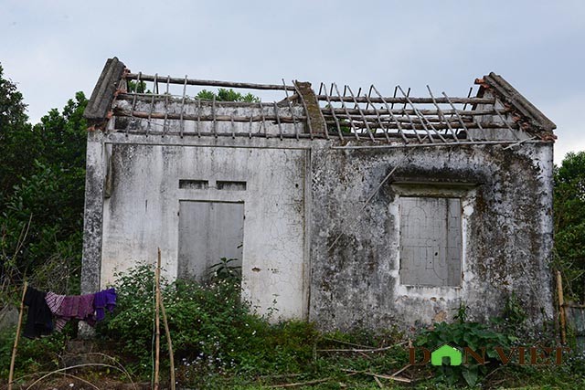 “Giải cứu” làng Hà Tây bị bỏ hoang, tiêu điều giữa vùng biên giới ảnh 1
