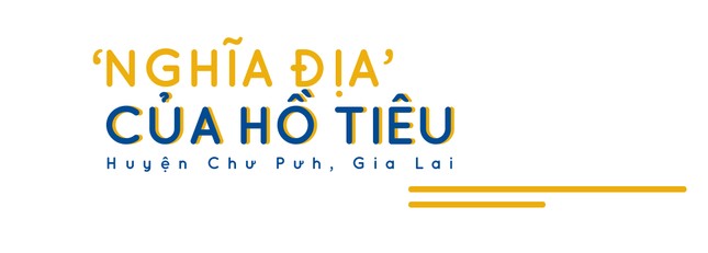 Mảnh ghép xã hội nhìn từ con đường đến trường ảnh 5