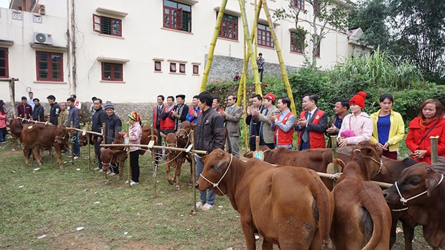 Chi hội Chữ thập đỏ Tình người Hà Nội tặng quà dân nghèo Quảng Ninh ảnh 2