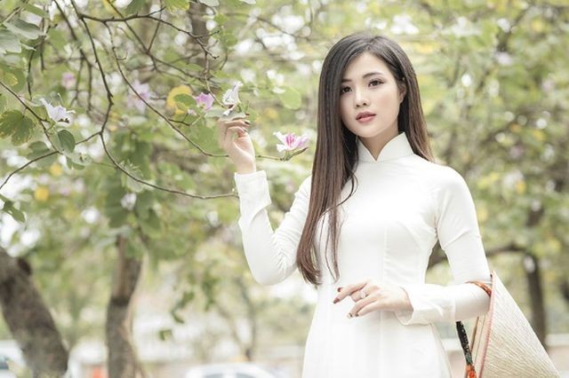 Thiếu nữ xinh đẹp đội nón lá khoe sắc với hoa ban ảnh 2