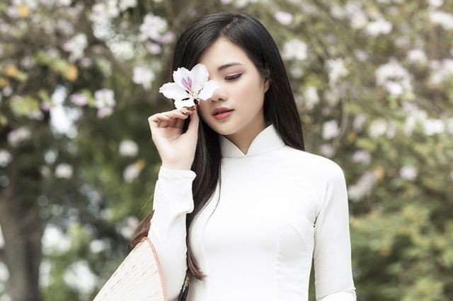 Thiếu nữ xinh đẹp đội nón lá khoe sắc với hoa ban ảnh 3