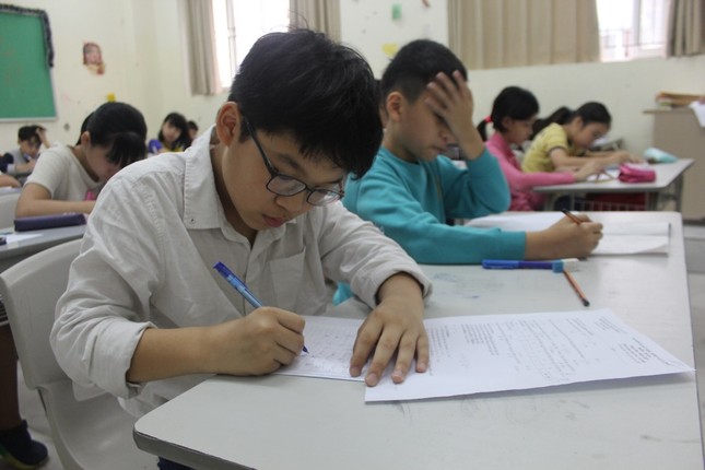 Trẻ nhập học tại trường Đa Trí Tuệ MIS, tại sao cần được đánh giá năng lực ảnh 3