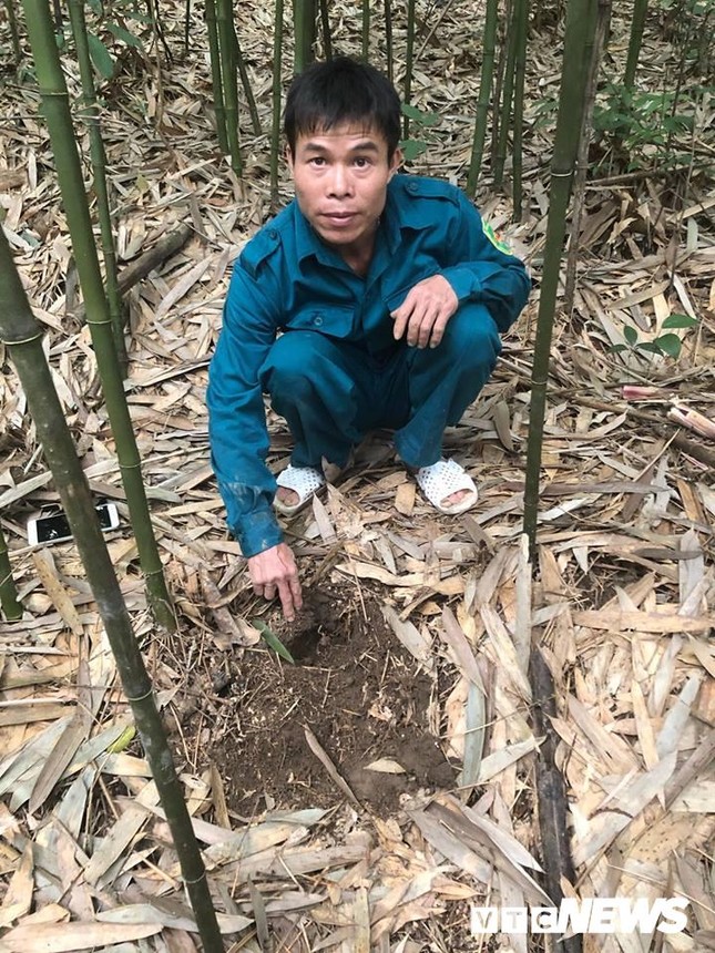 Những kỹ năng đặc biệt và kỳ công khó tưởng tượng để bắt được chuột khổng lồ ảnh 1