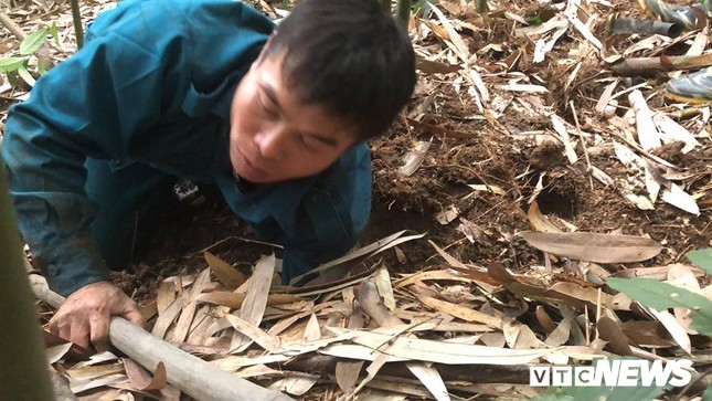 Những kỹ năng đặc biệt và kỳ công khó tưởng tượng để bắt được chuột khổng lồ ảnh 2