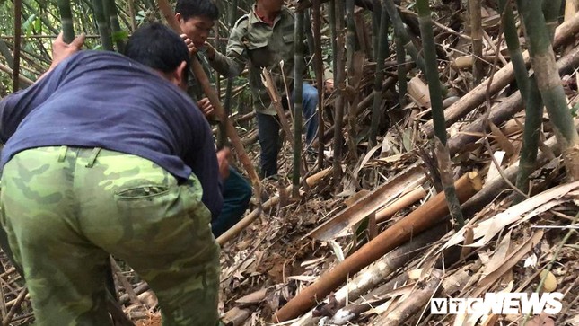 Cuộc đấu trí với loài chuột khổng lồ và ước mong làm giàu của thợ săn ảnh 3