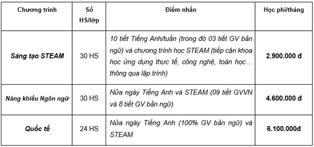 Trường phổ thông liên cấp đa trí tuệ Mis tuyển sinh 3 cấp năm học 2019 – 2020 ảnh 4