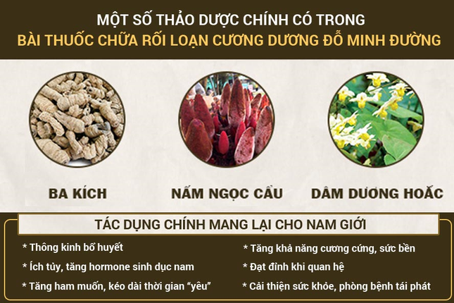 Đầu tư vào dược liệu sạch, Đỗ Minh Đường chữa rối loạn cương dương hiệu quả ảnh 2