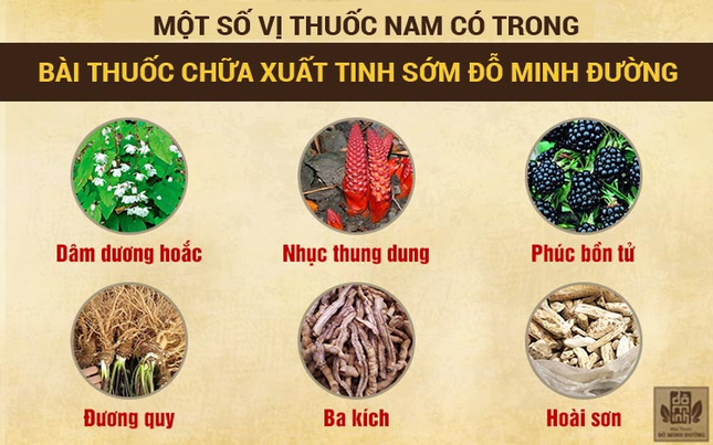 Bài thuốc chữa xuất tinh sớm Đỗ Minh Đường giúp nam giới lấy lại bản lĩnh ảnh 2