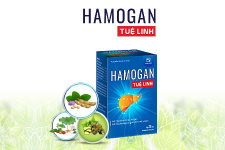 Chuyên gia đánh giá như thế nào về Hamogan Tuệ Linh? ảnh 1