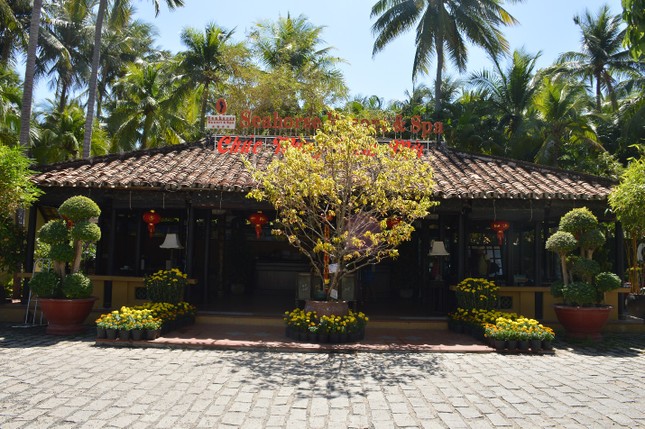 Tết 2020 – Tết Sum Vầy cùng Seahorse Resort & Spa ảnh 5