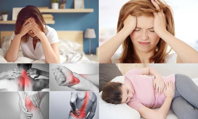 Bách Thống Vương – giải pháp giảm đau đông y mới cho người bị đau ảnh 1