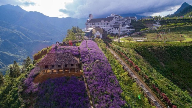 Sa Pa đồng loạt ưu đãi chưa từng có, hành trình lý tưởng nhất đây rồi! ảnh 6