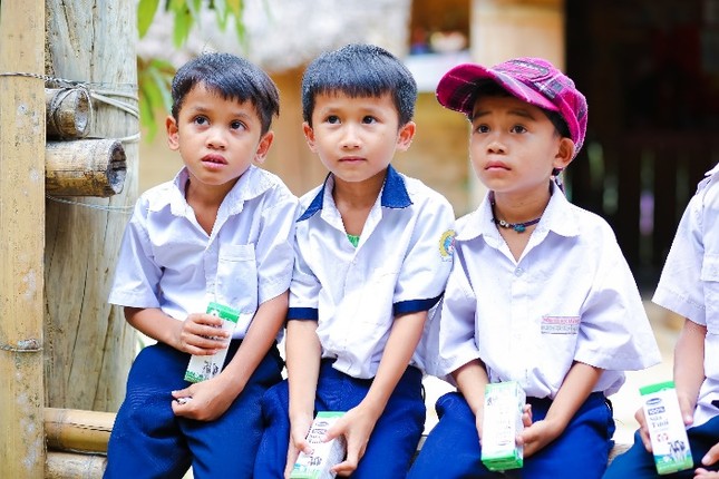 Quảng Nam – Nỗ lực để đưa sữa lên trường học vùng cao ảnh 1