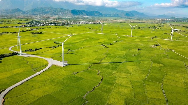 Ninh Thuận vào nhóm các địa phương tăng trưởng kinh tế cao nhất nước ảnh 2