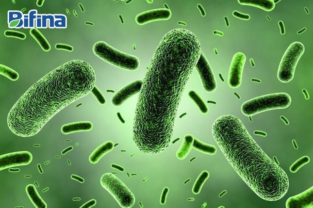 3 sai lầm thường gặp khi dùng men tiêu hóa ảnh 2