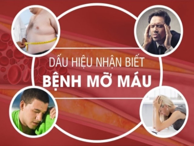 Nguyên nhân, triệu chứng của bệnh mỡ máu cao nhận biết sớm để xử lý kịp thời ảnh 1