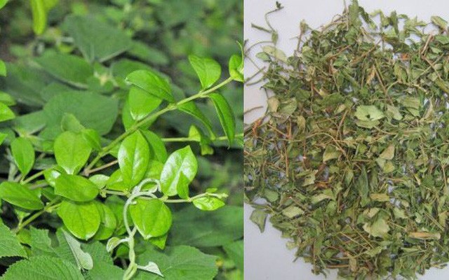 Công nghệ viên nén dạng cao An đường huyết Lakoo- giải quyết nỗi lo tiểu đường mãn tính! ảnh 1