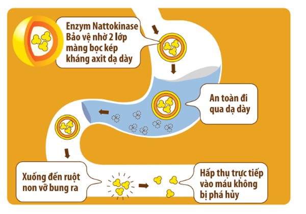 Nguyên nhân, triệu chứng của bệnh mỡ máu cao nhận biết sớm để xử lý kịp thời ảnh 2