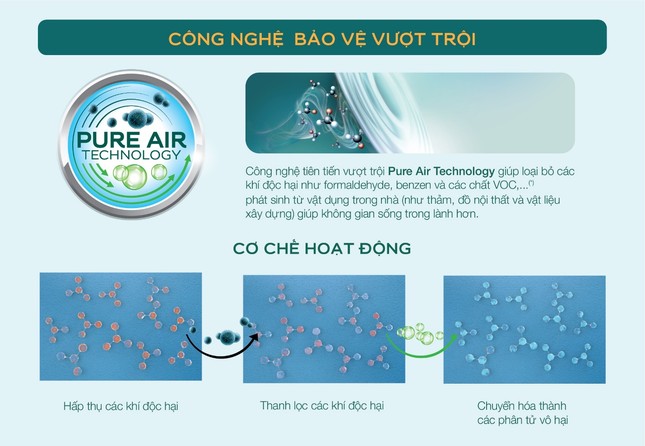 Thanh lọc không khí trong nhà hiệu quả với những giải pháp có nguồn gốc tự nhiên ảnh 2