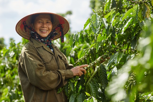 Nestlé Việt Nam vinh dự nhận 2 giải thưởng danh giá về trao quyền cho phụ nữ ảnh 1