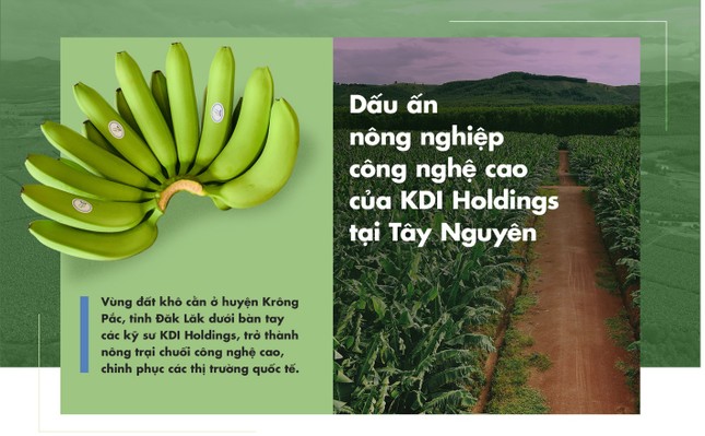 Dấu ấn nông nghiệp công nghệ cao của KDI Holdings tại Tây Nguyên ảnh 1