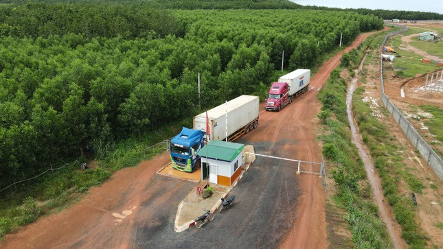 Dấu ấn nông nghiệp công nghệ cao của KDI Holdings tại Tây Nguyên ảnh 5