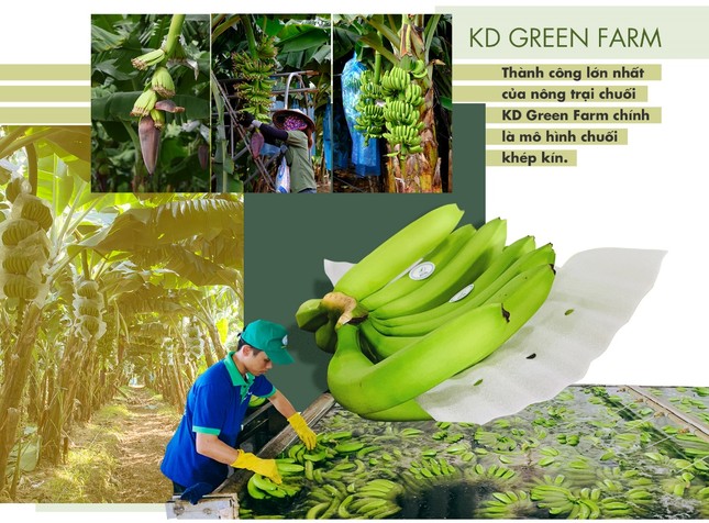 Dấu ấn nông nghiệp công nghệ cao của KDI Holdings tại Tây Nguyên ảnh 8