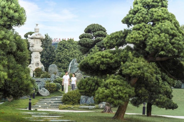 “Tất tần tật” về công viên Nhật Bản Zen Park lớn nhất Việt Nam ảnh 6