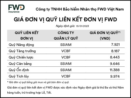 Giá đơn vị quỹ liên kết đơn vị FWD ảnh 1