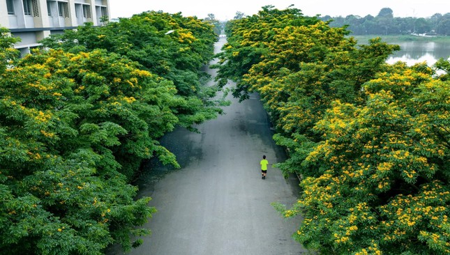 Ecopark - 'Nơi có gió' chữa lành cho người trưởng thành và thiên nhiên hạnh phúc cho trẻ nhỏ ảnh 2