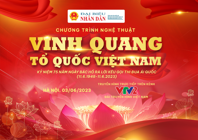 Tự hào dân tộc cùng 'Vinh quang Tổ quốc Việt Nam' ảnh 1