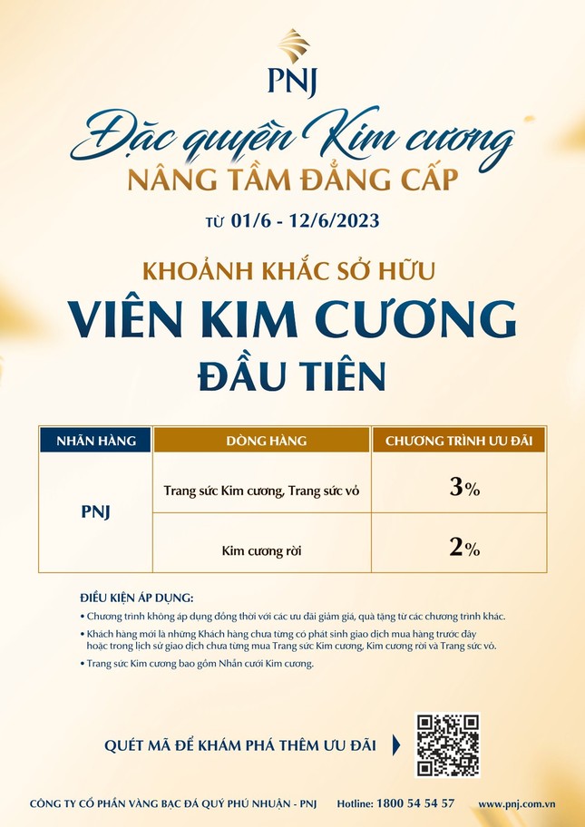 Cùng PNJ nâng tầm đẳng cấp với đặc quyền kim cương ảnh 2