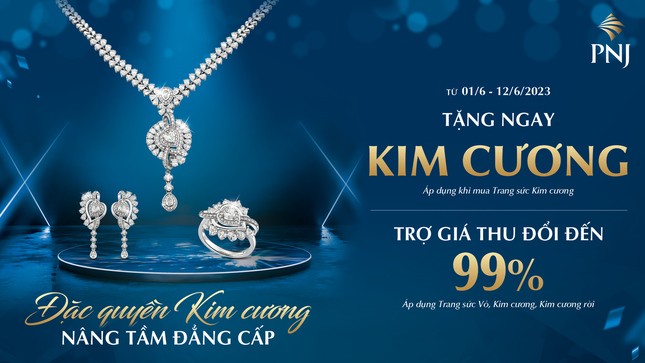 Cùng PNJ nâng tầm đẳng cấp với đặc quyền kim cương ảnh 3