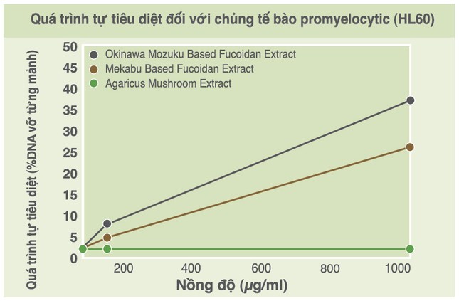 Vai trò của tảo nâu Mozuku trong lĩnh vực y khoa ảnh 2