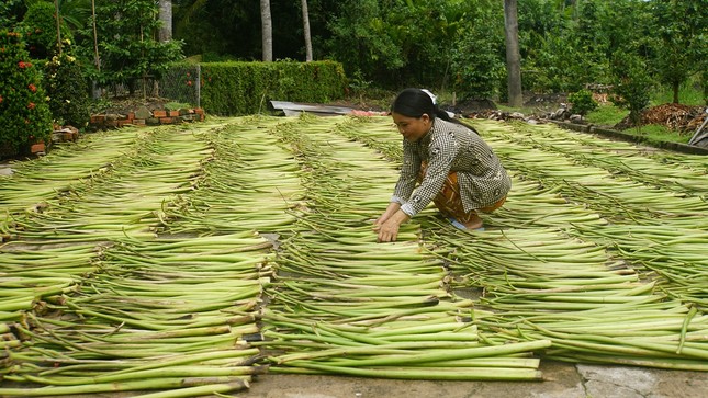 Bayer Việt Nam hỗ trợ nâng cao đời sống người dân vùng sâu Hậu Giang ảnh 1