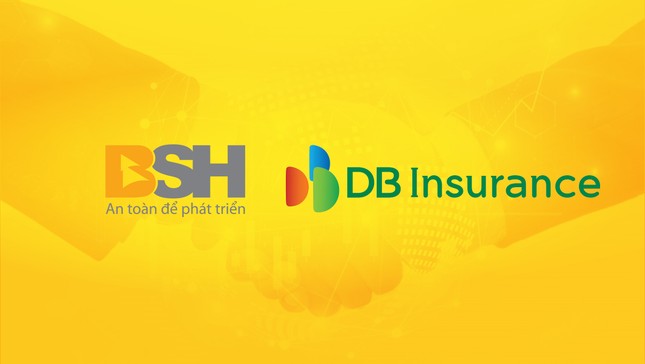 Bảo hiểm DB (Hàn Quốc) ký hợp đồng mua 75% cổ phần Bảo hiểm BSH ảnh 1