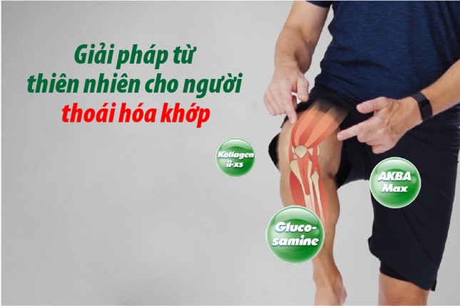 Giải pháp từ thiên nhiên cho người thoái hóa khớp ảnh 1